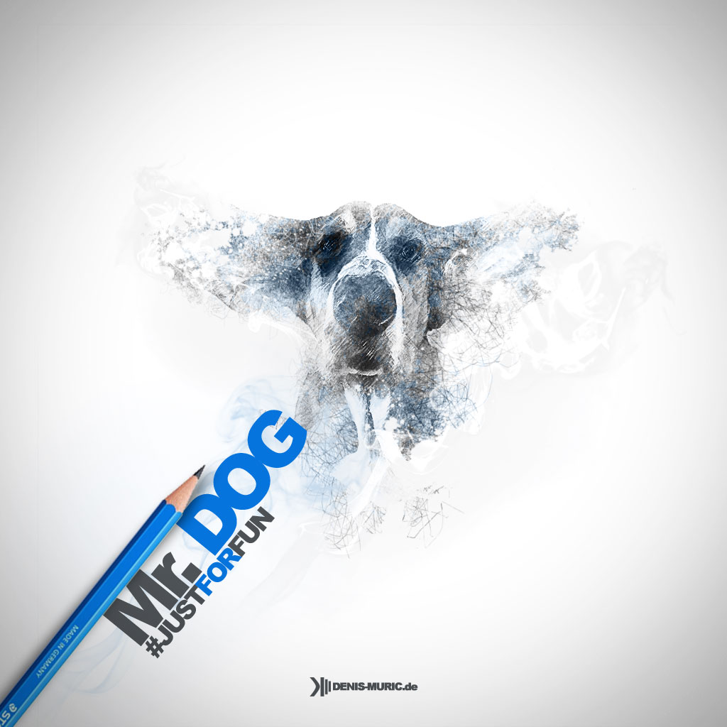 denis_muric_logo